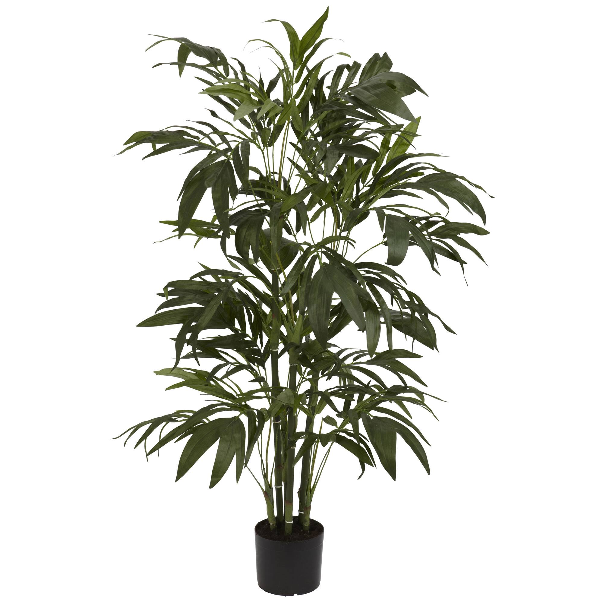 4ft. Potted Bamboo Palm Tree